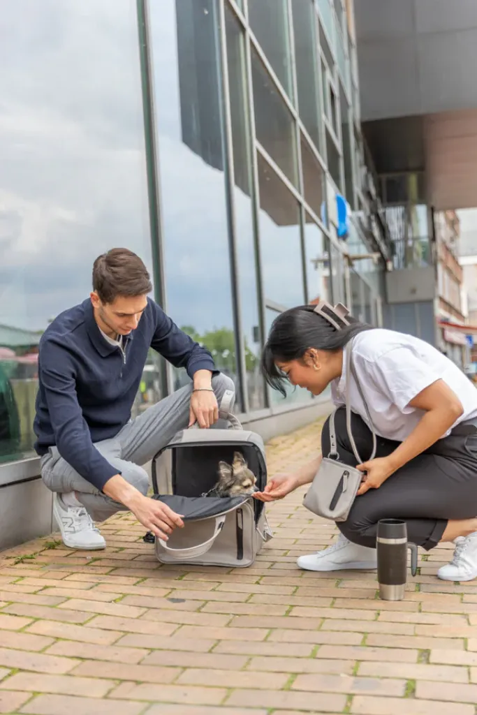 Snack-Tasche CityStyle