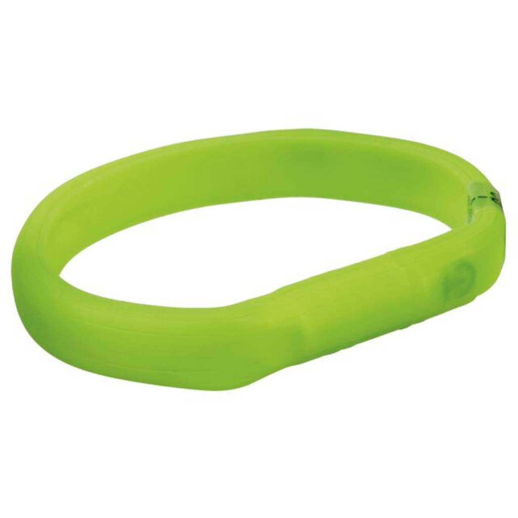 Flash Leuchtband USB