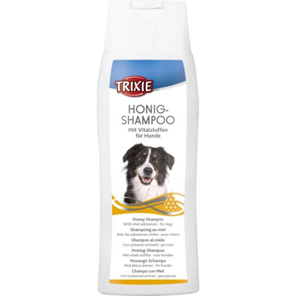 Honig-Shampoo