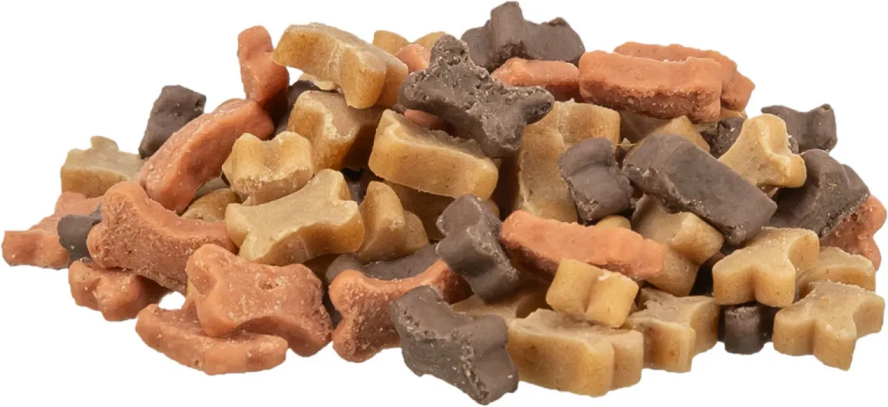 Trainer Snack Bones