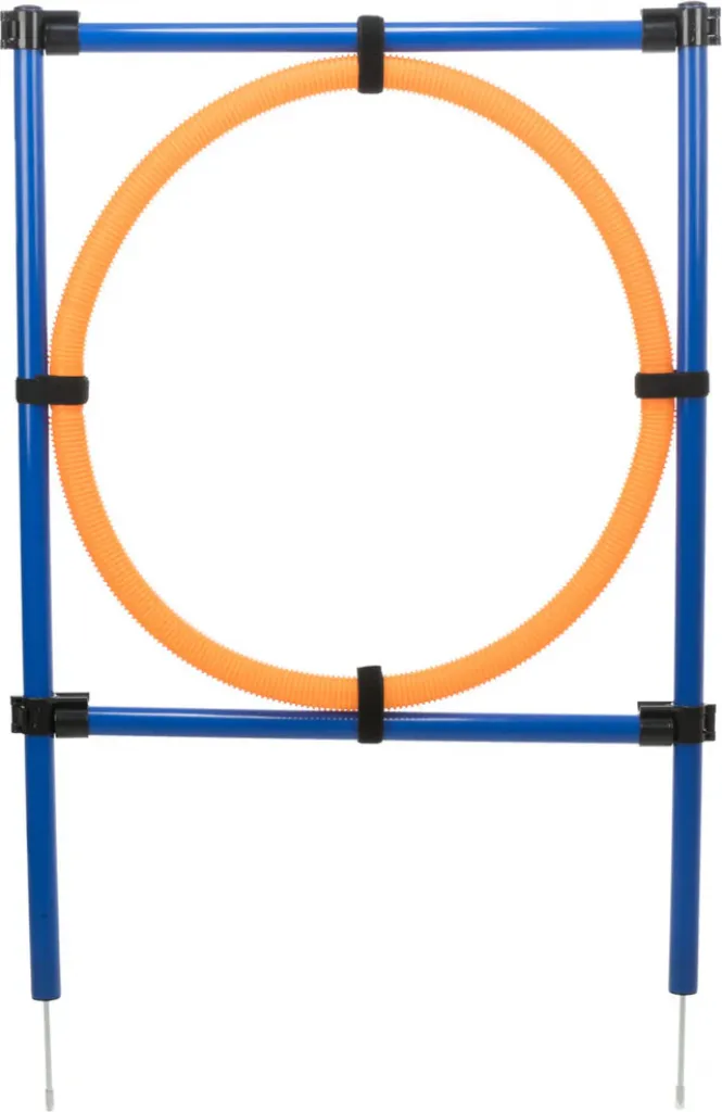 Fun Agility Ring