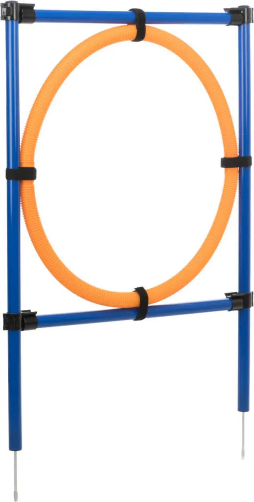 Fun Agility Ring