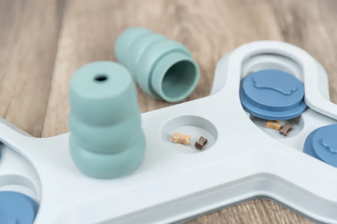 Flip Bone Strategiespiel