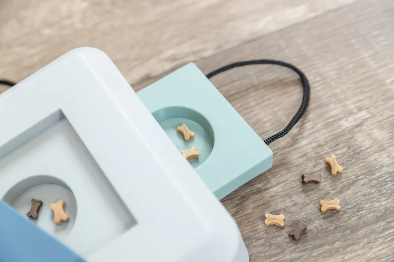 Gamble Box Strategiespiel