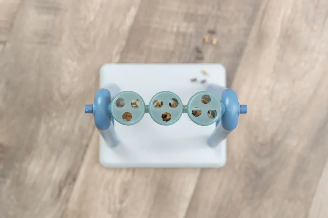 Turn Around Strategiespiel