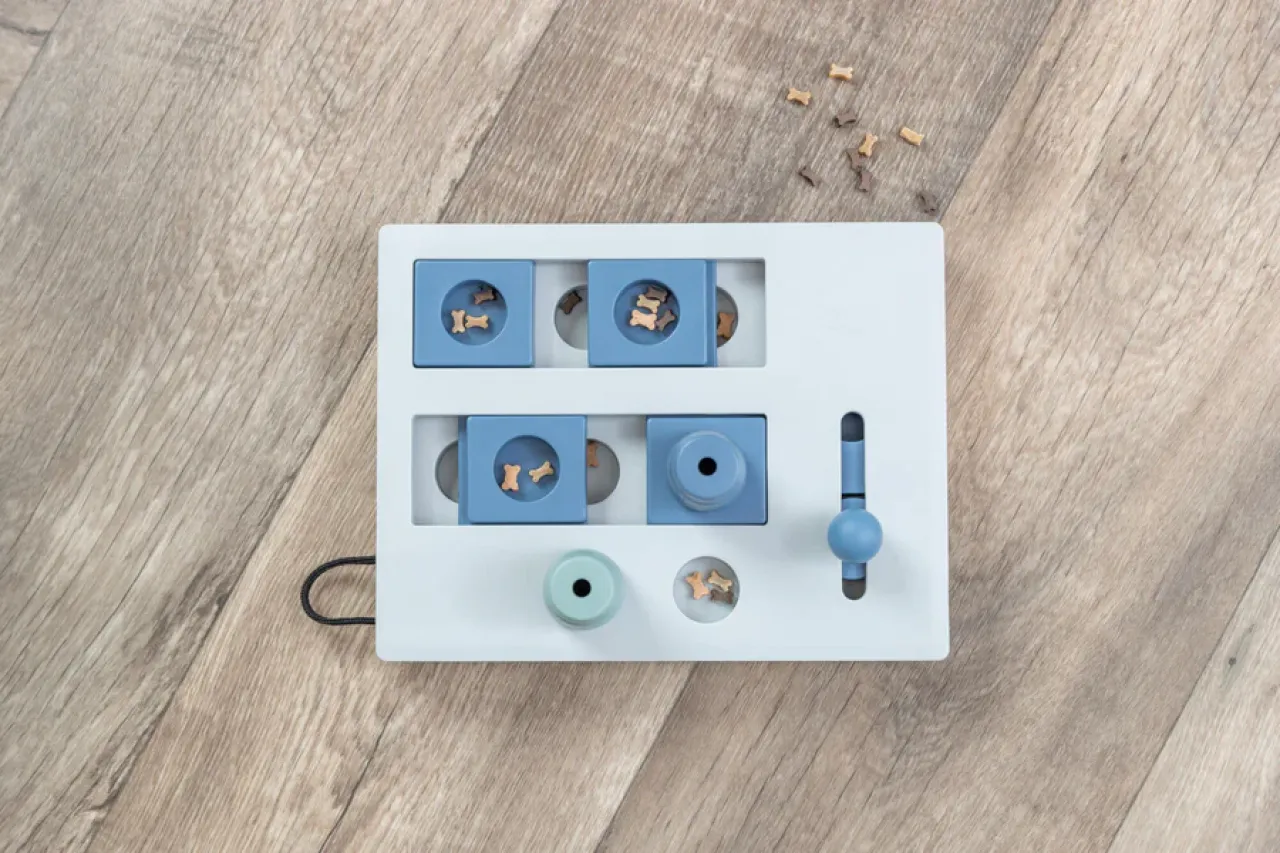 Mini Mover Strategiespiel