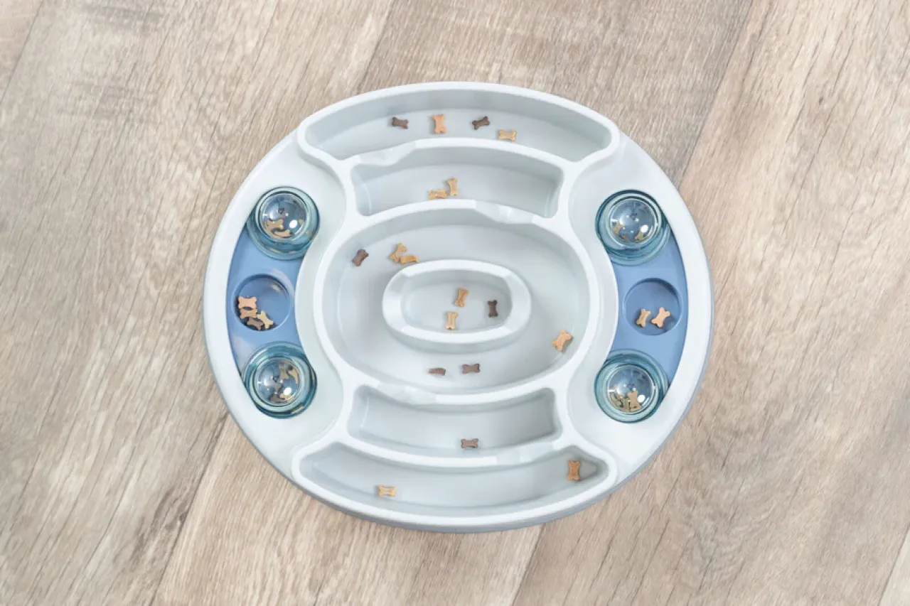 Slide & Feed Strategiespiel