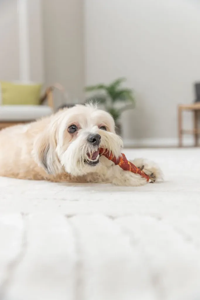 Roll gefüllt mit Rinderlunge & -leber
