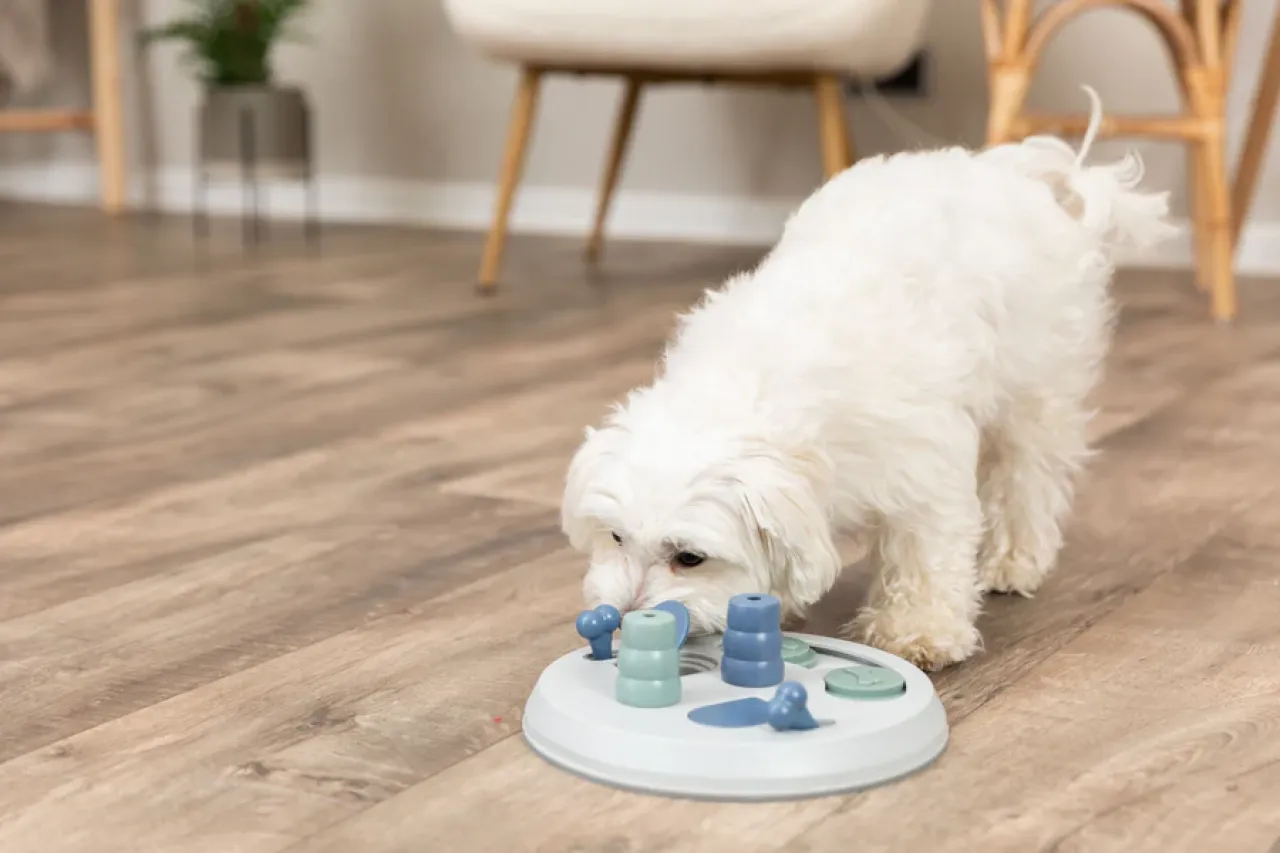 Flip Board Strategiespiel