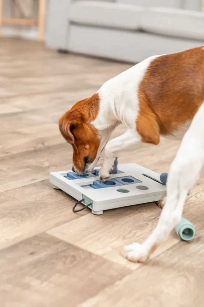 Mini Mover Strategiespiel