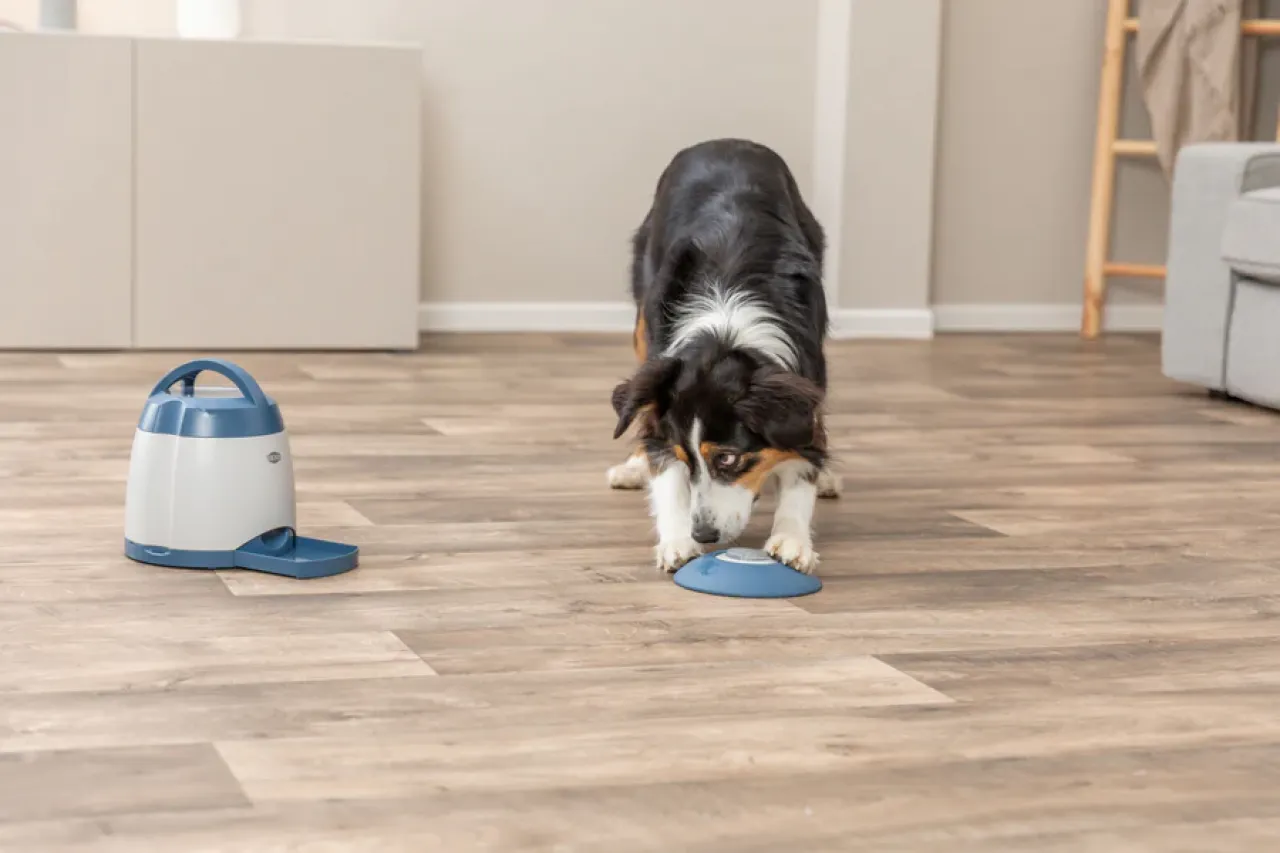 Memory Trainer 3.0 Strategiespiel