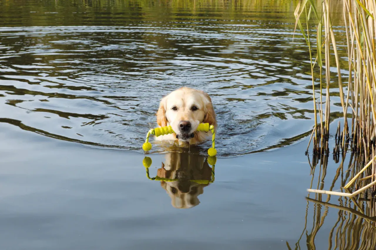 MOT®Long, Naturgummi