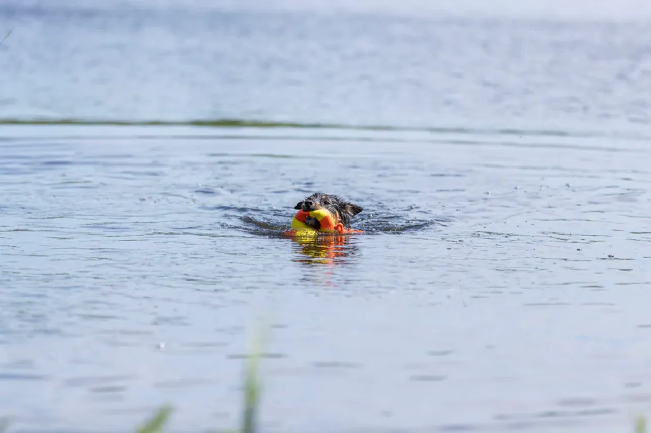 Aqua Toy Ente am Seil