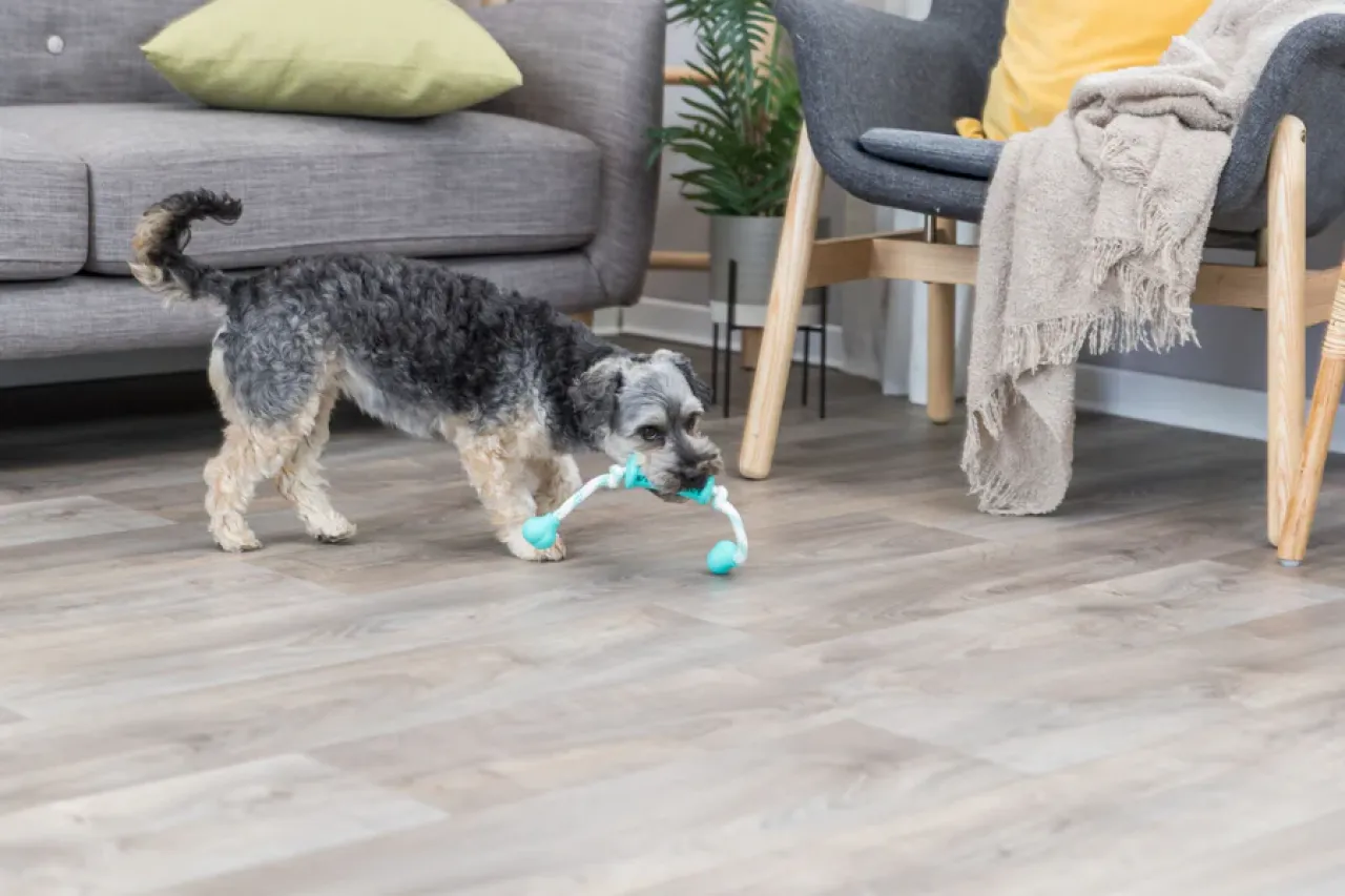 Denta Fun Stick mit Seil