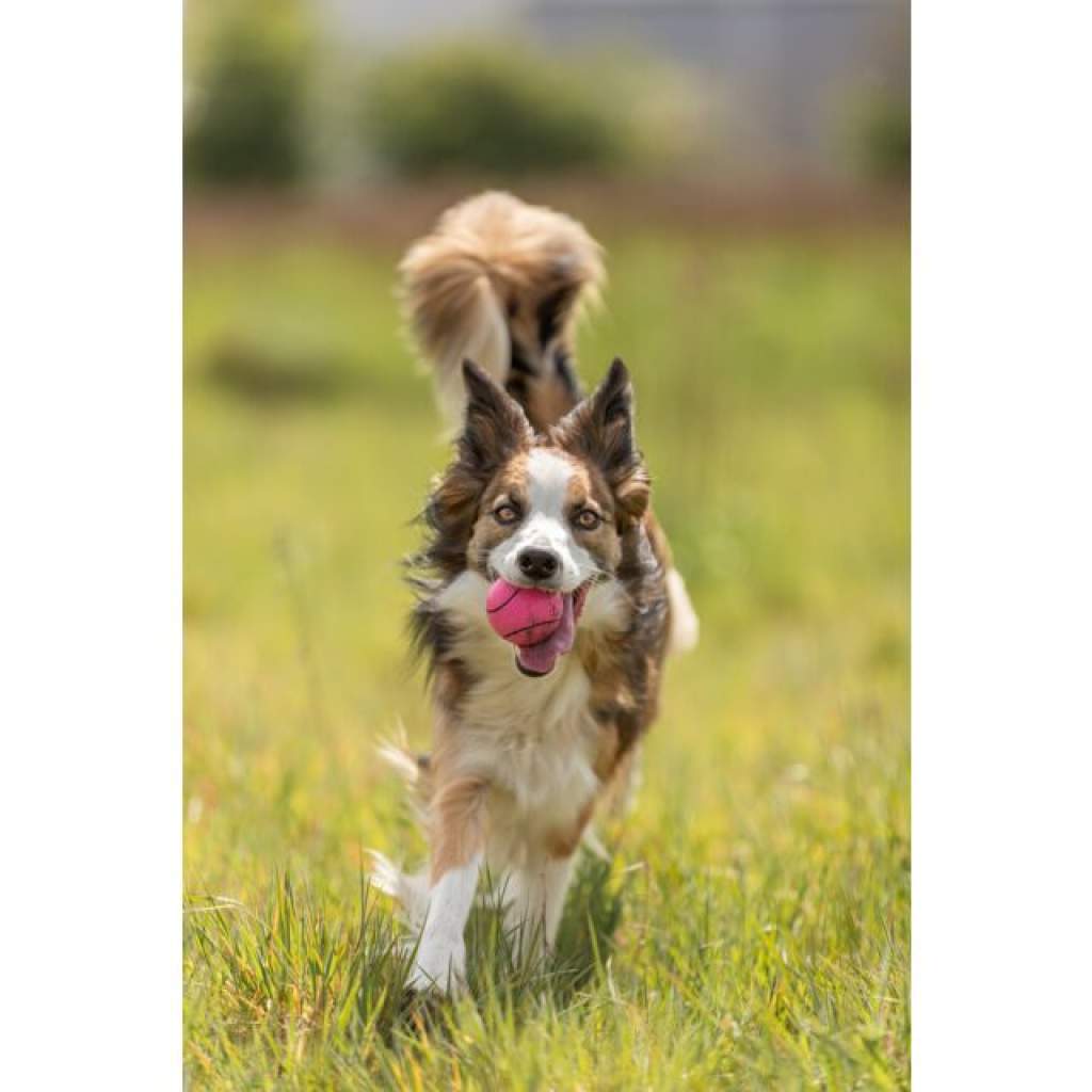 Ball im Display, Moosgummi