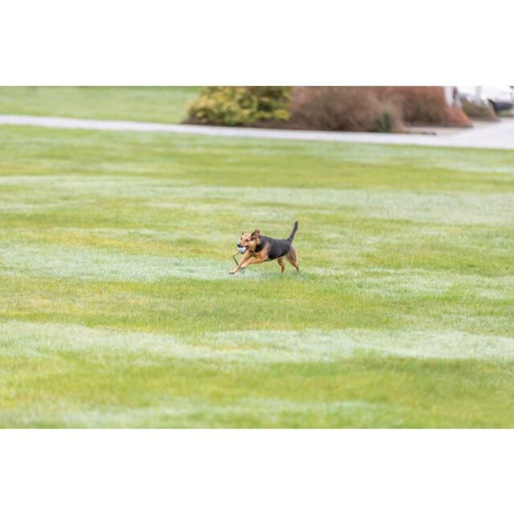 Ball am Seil, Naturgummi