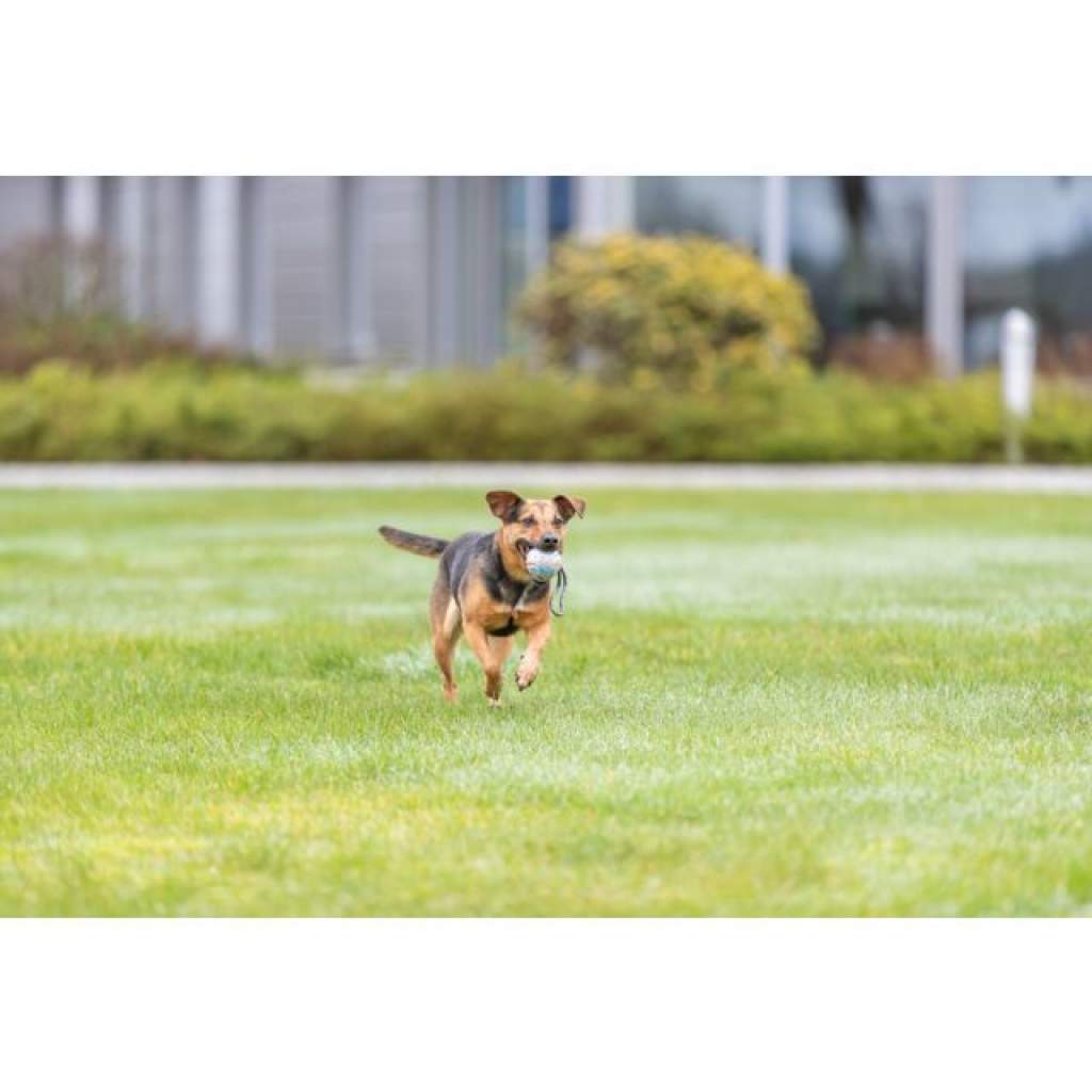 Ball am Seil, Naturgummi