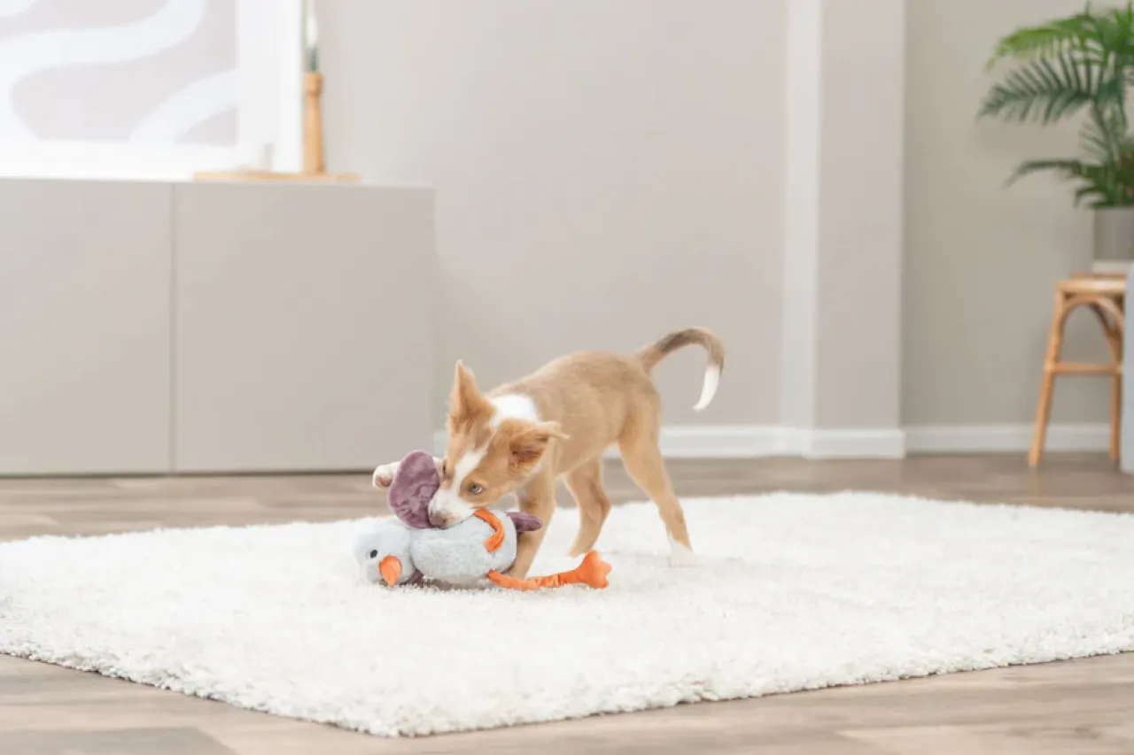 Hundeplüschtier Strauß