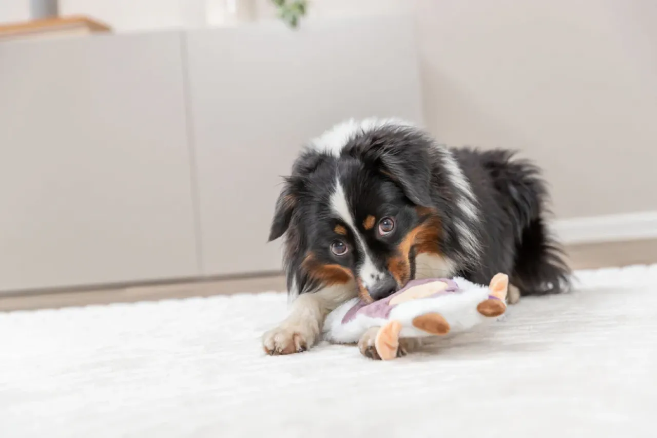 Hundeplüschtier Knisterkuh