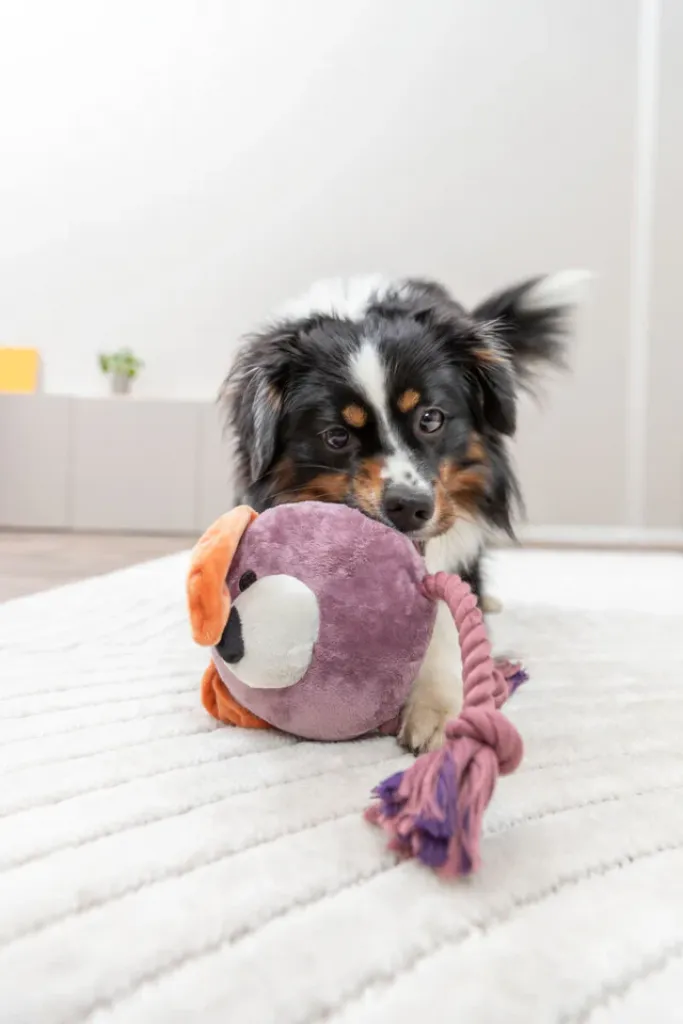 Hundeplüschtier Hund mit Tau