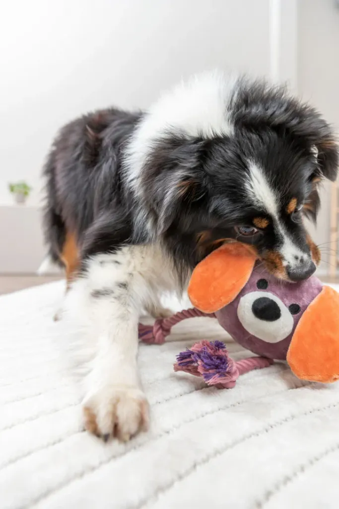 Hundeplüschtier Hund mit Tau