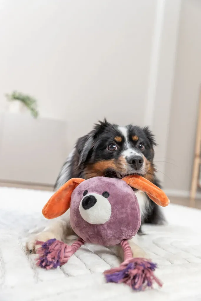 Hundeplüschtier Hund mit Tau