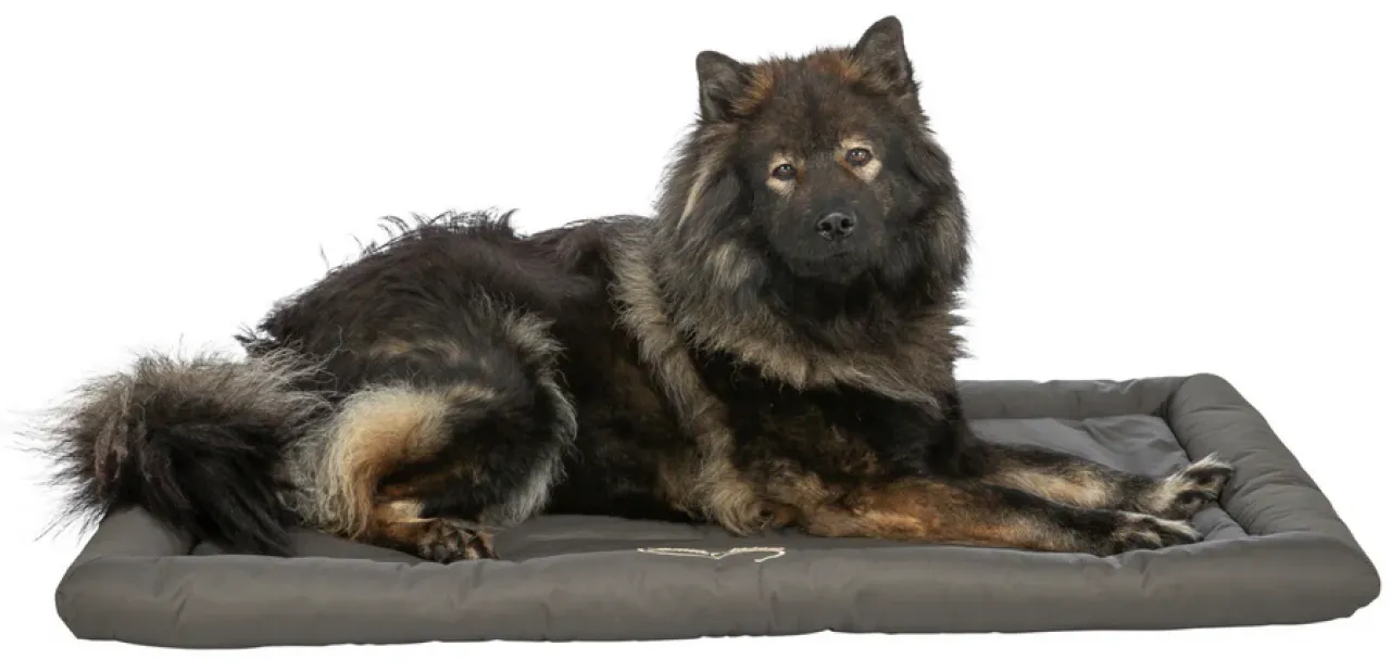 Reisedecke Samoa Classic