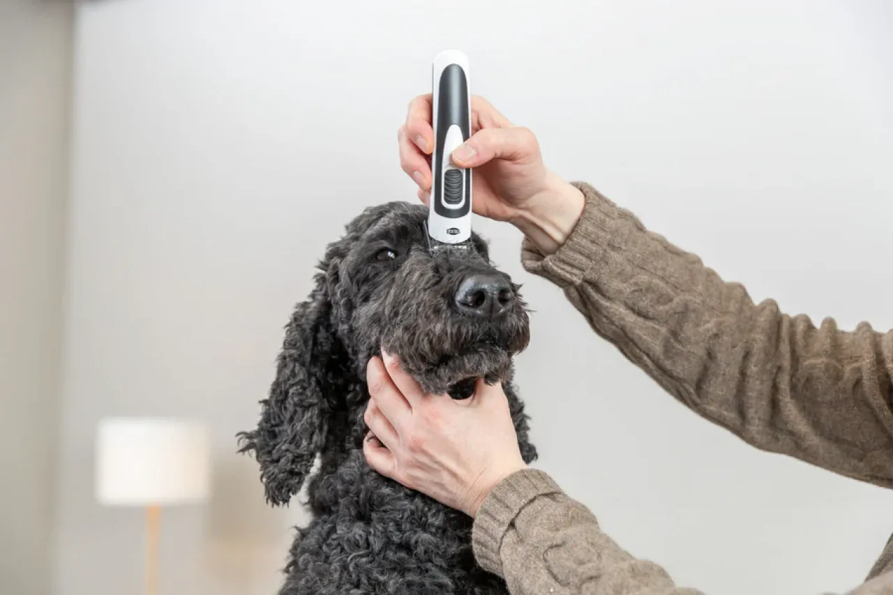 Akku-Schermaschine SLIM TR500