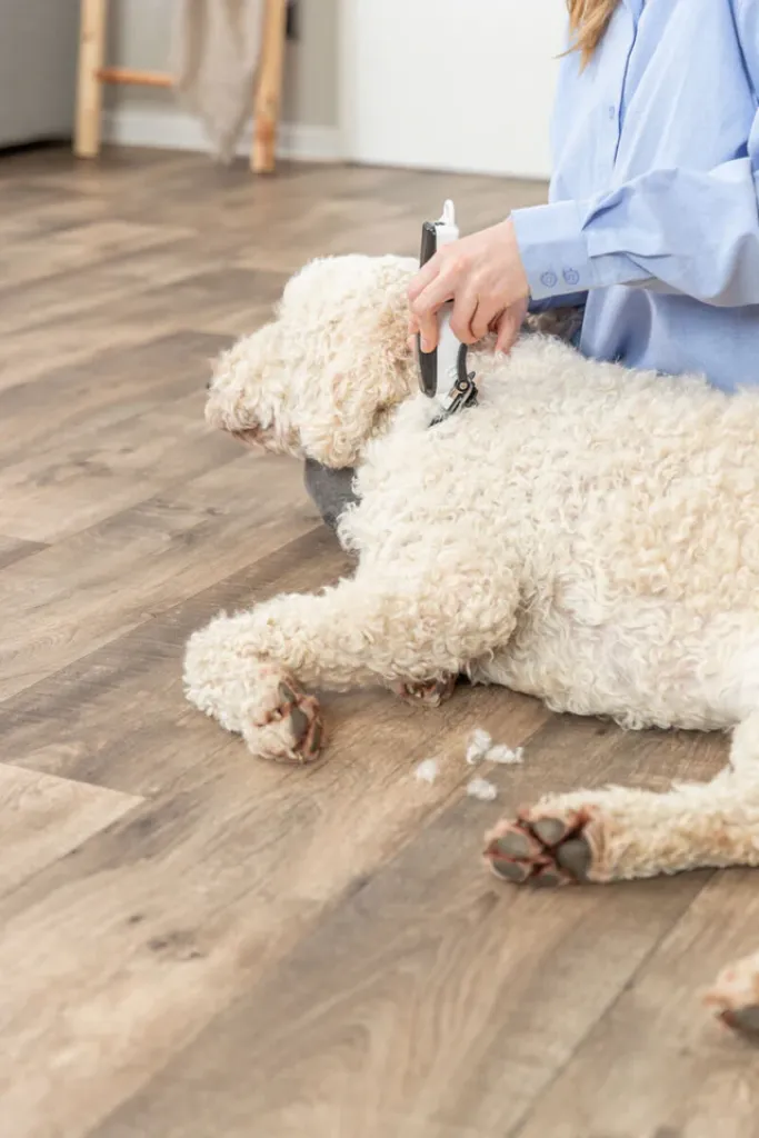 Akku-Schermaschine TR1200