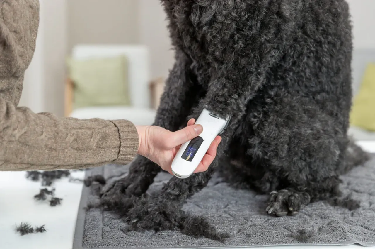 Akku-Schermaschine TR1600