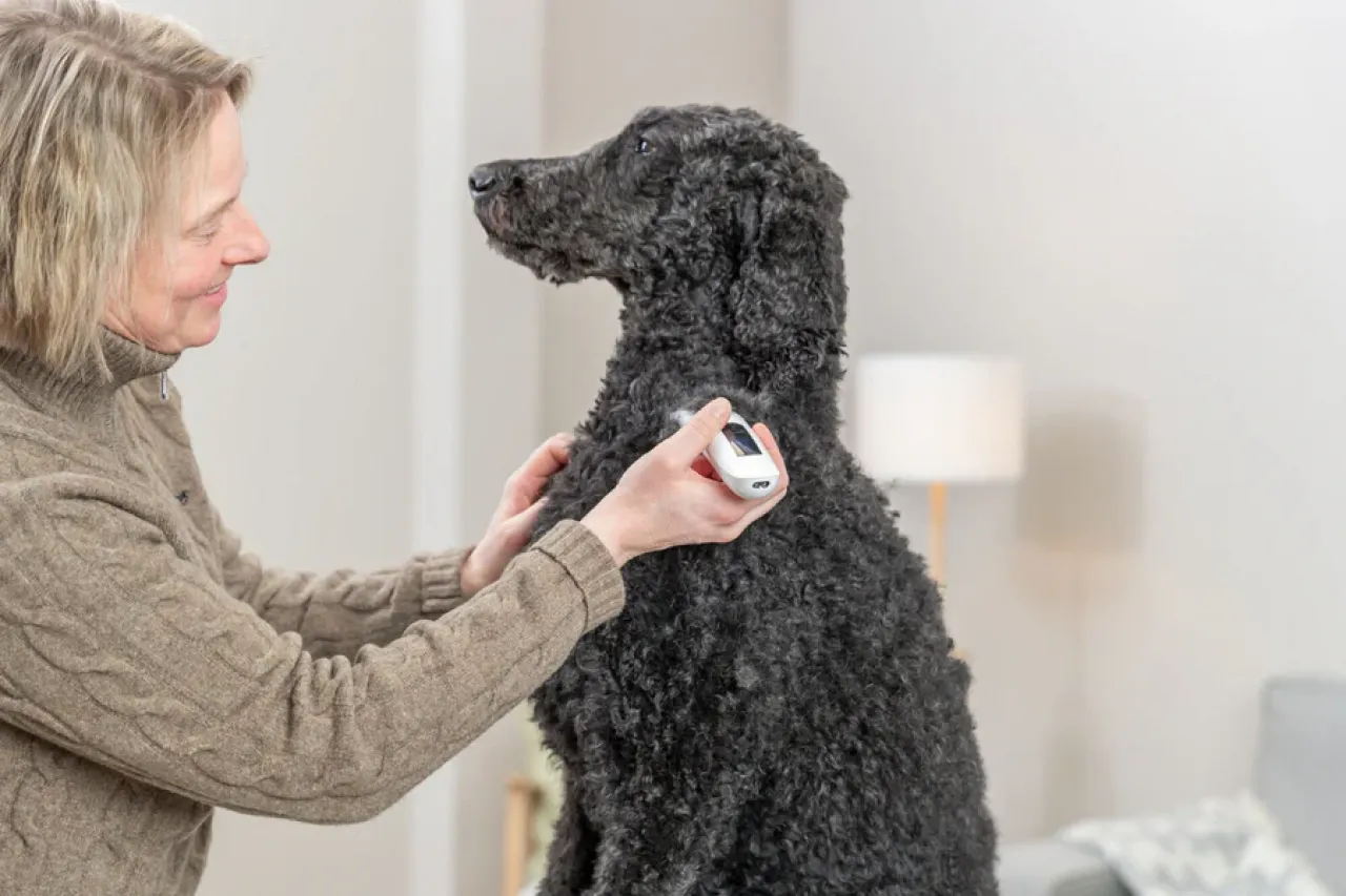 Akku-Schermaschine TR1600