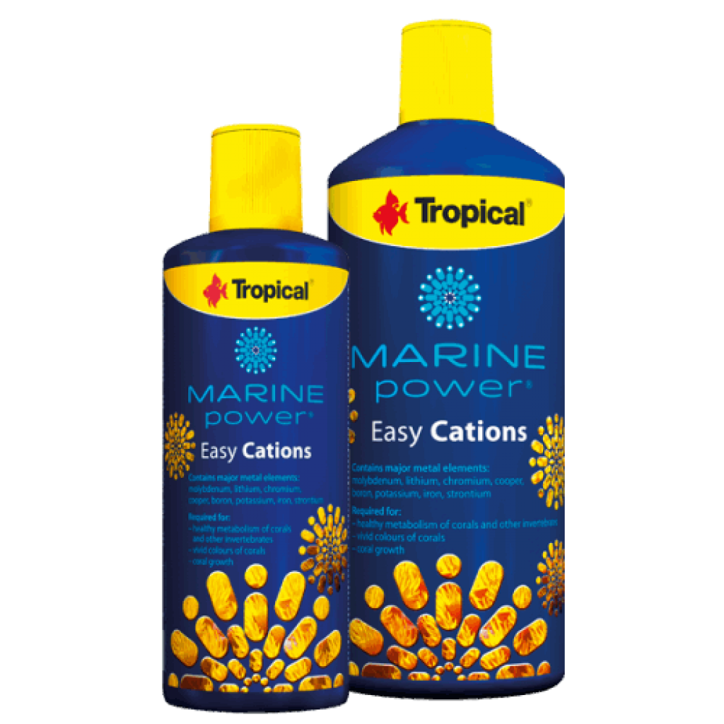 Marine Power Easy Cations