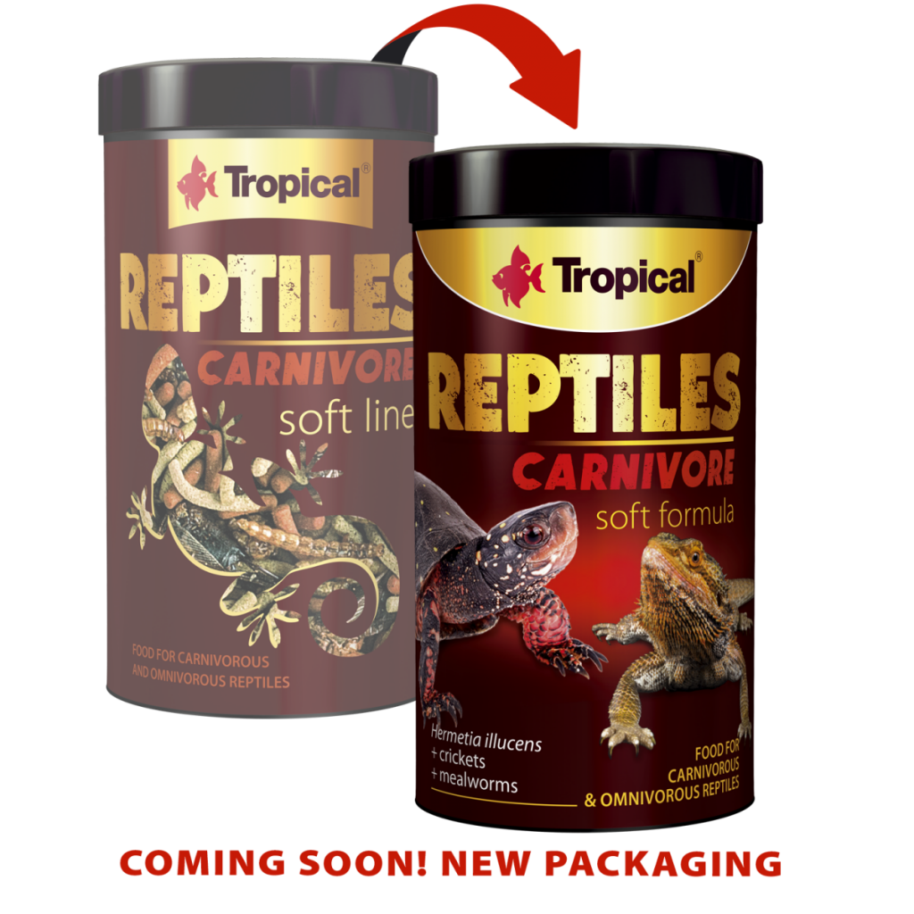 Reptiles Carnivore Soft Line