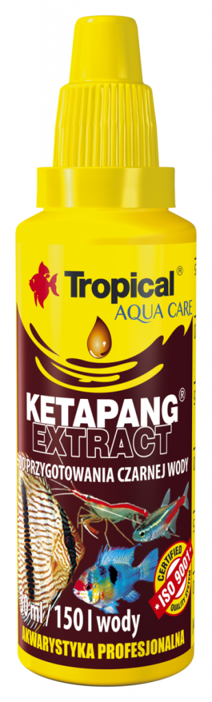 Ketapang Extract