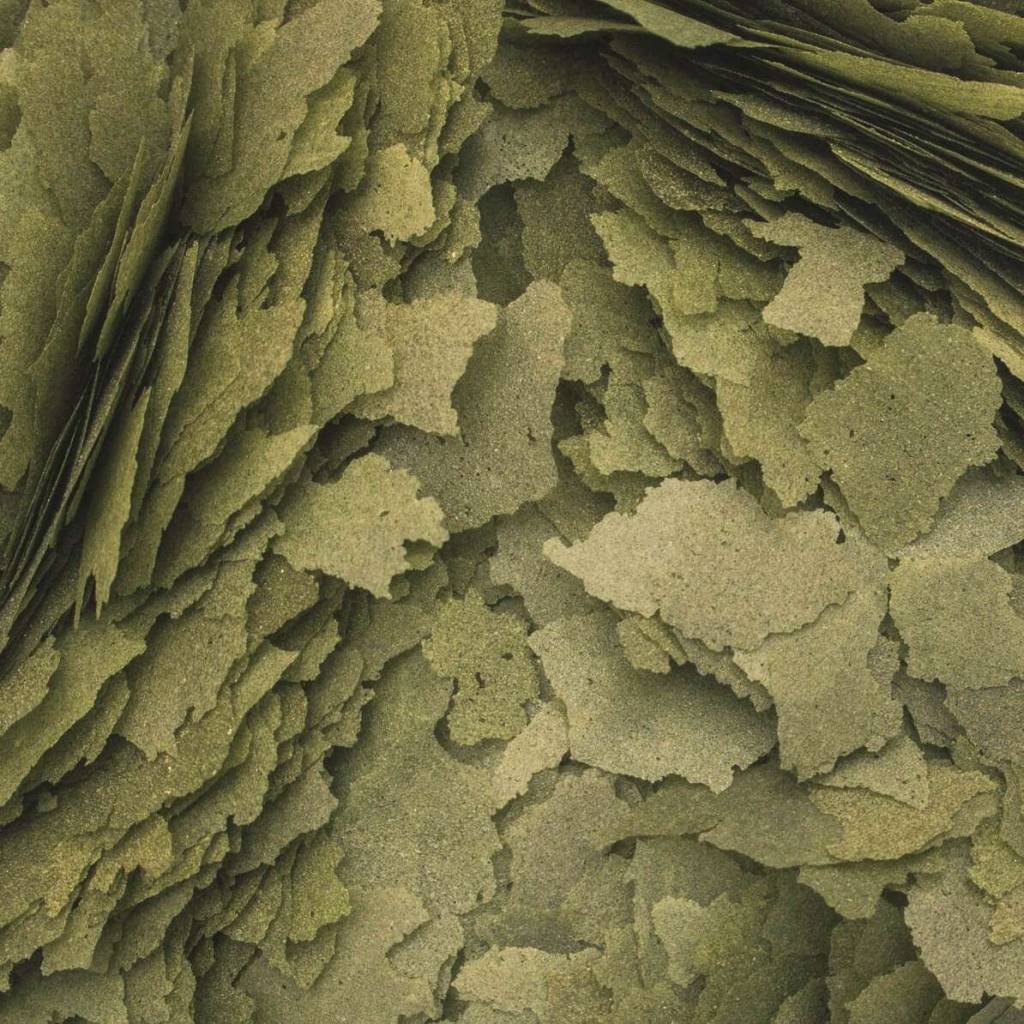 3-Algae Flakes