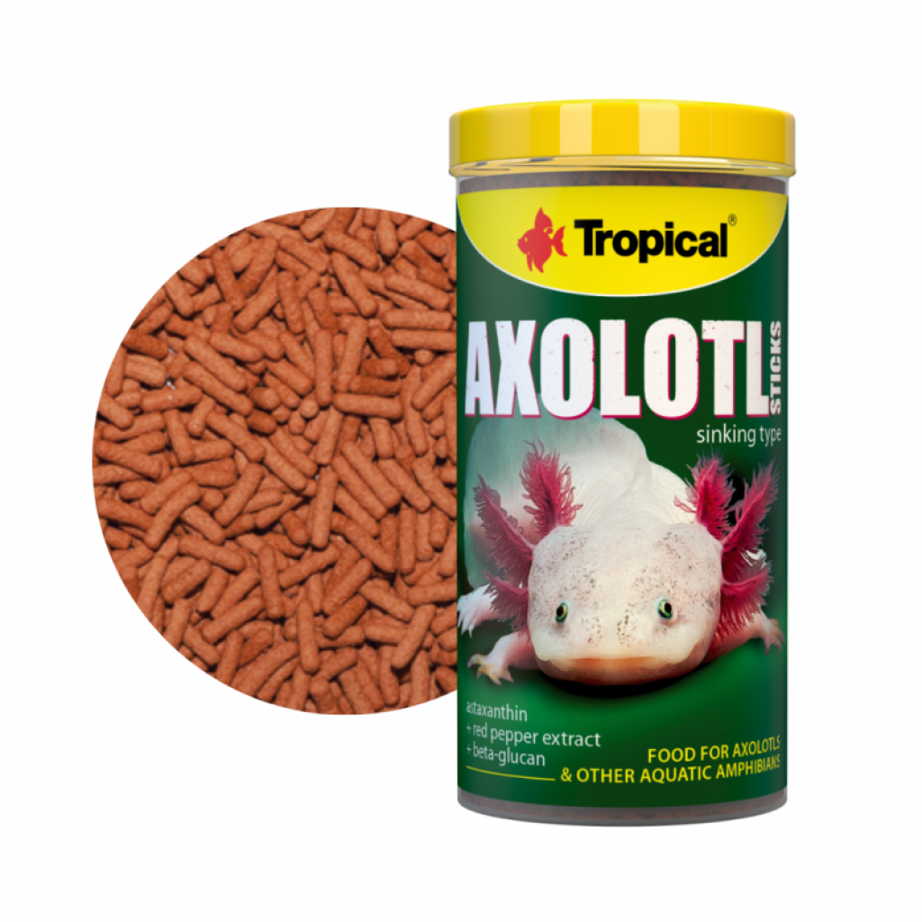 Axolotl