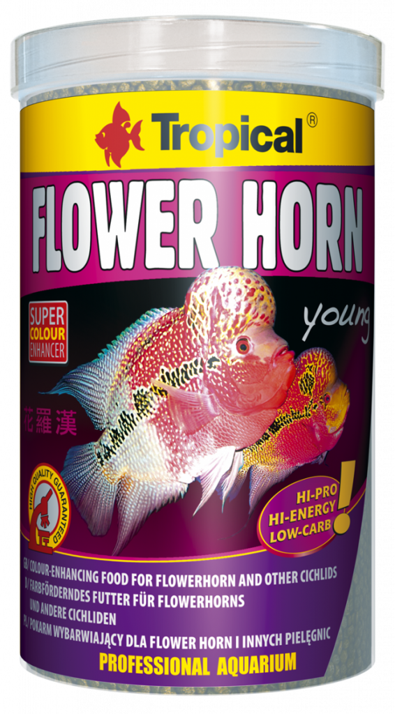 Flower Horn Young Pellet