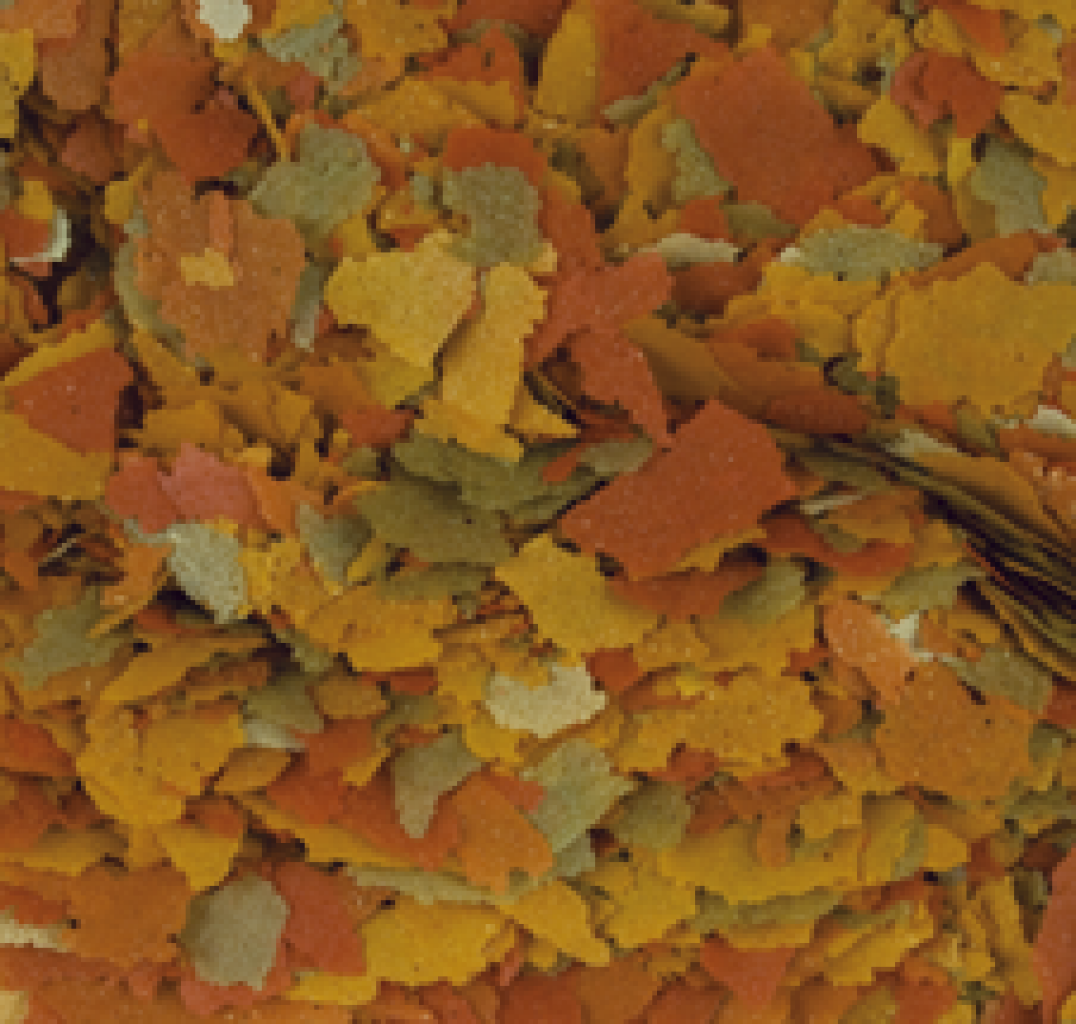Goldfisch Color Flakes