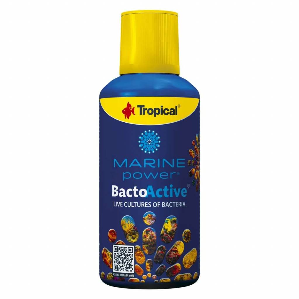 Marine Power Bacto-Active