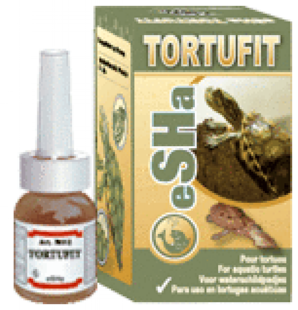 eSHa Tortufit