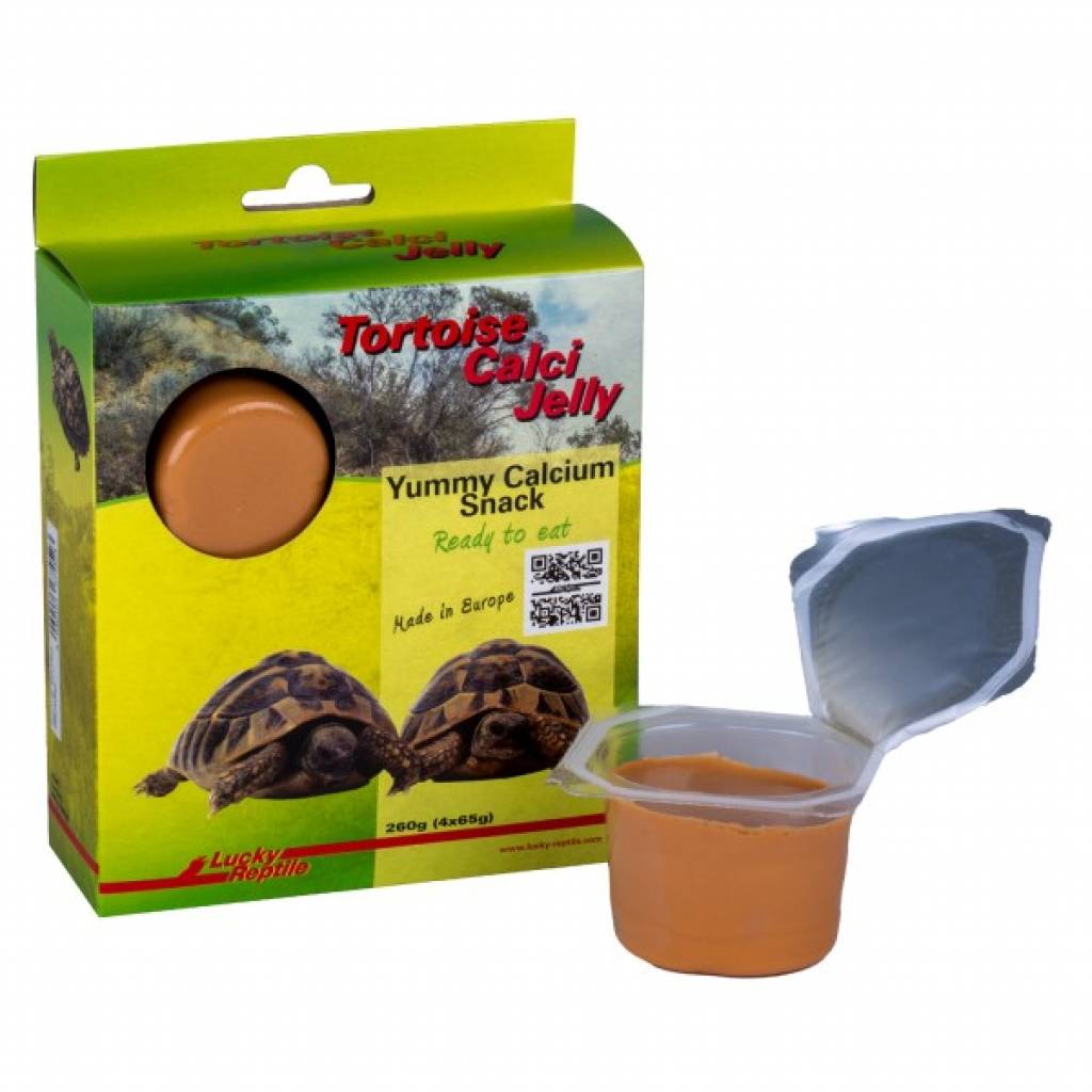 Tortoise Calci Jelly