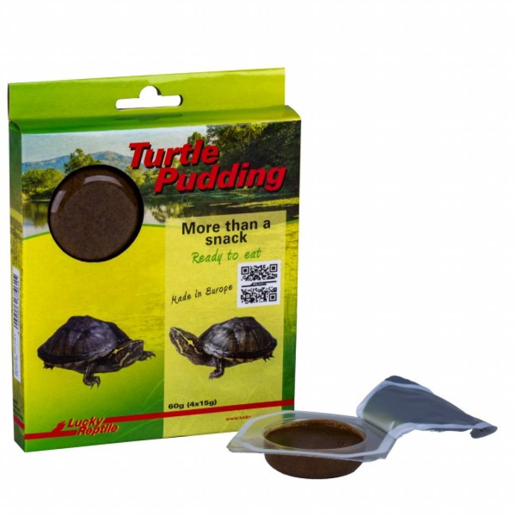 Turtle Pudding