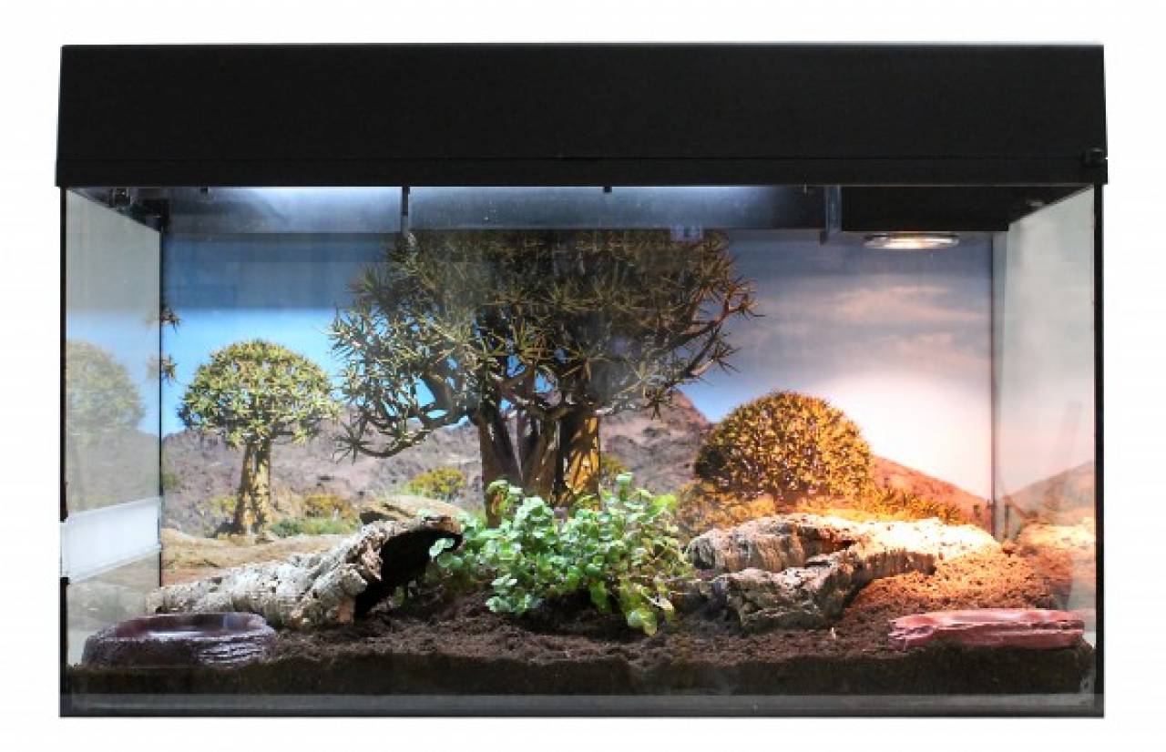 Lucky Reptile Starter Kit "Landschildkröte"