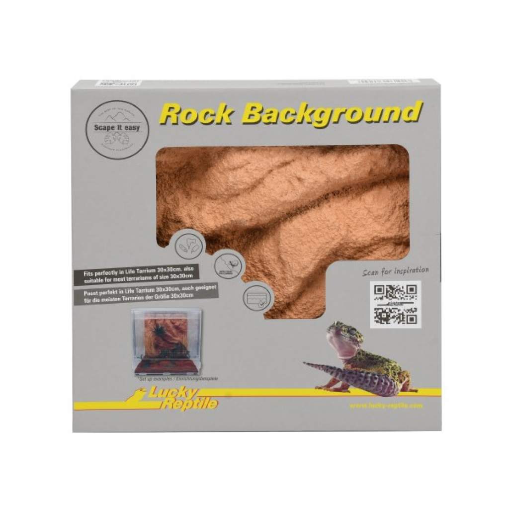 Rock Background