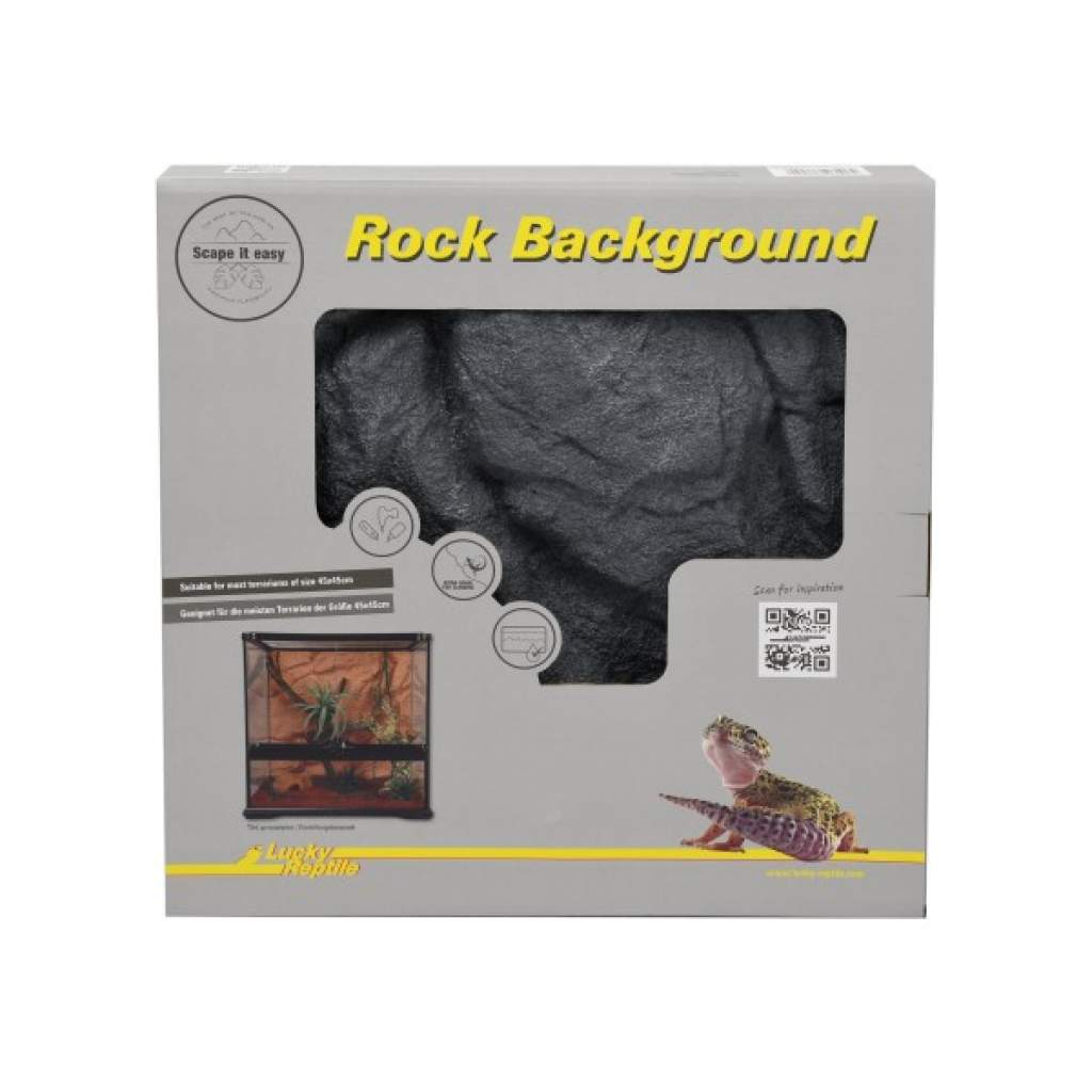 Rock Background