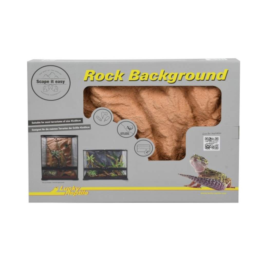 Rock Background