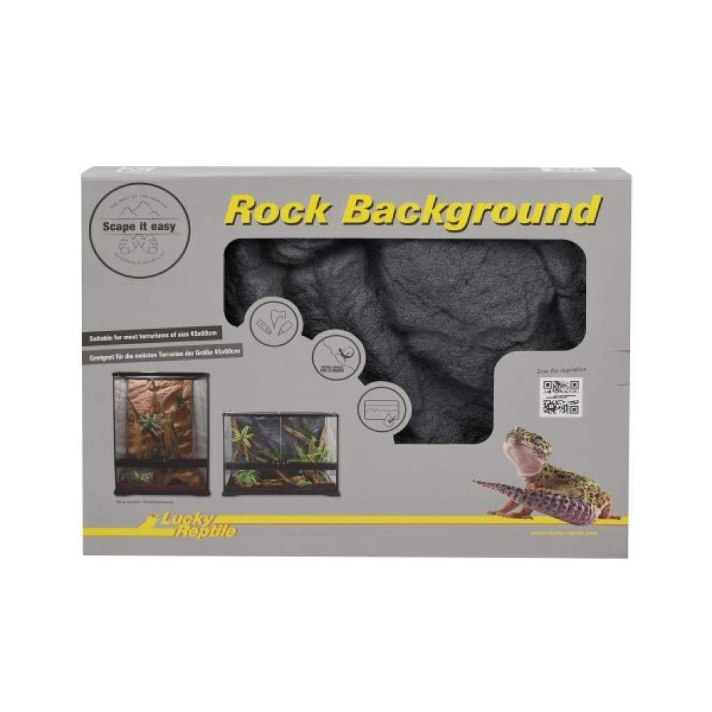 Rock Background