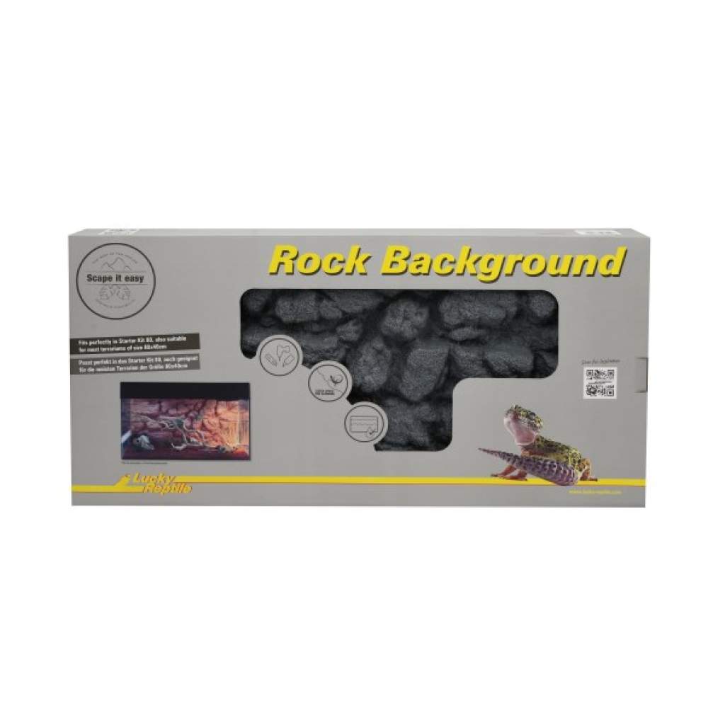 Rock Background