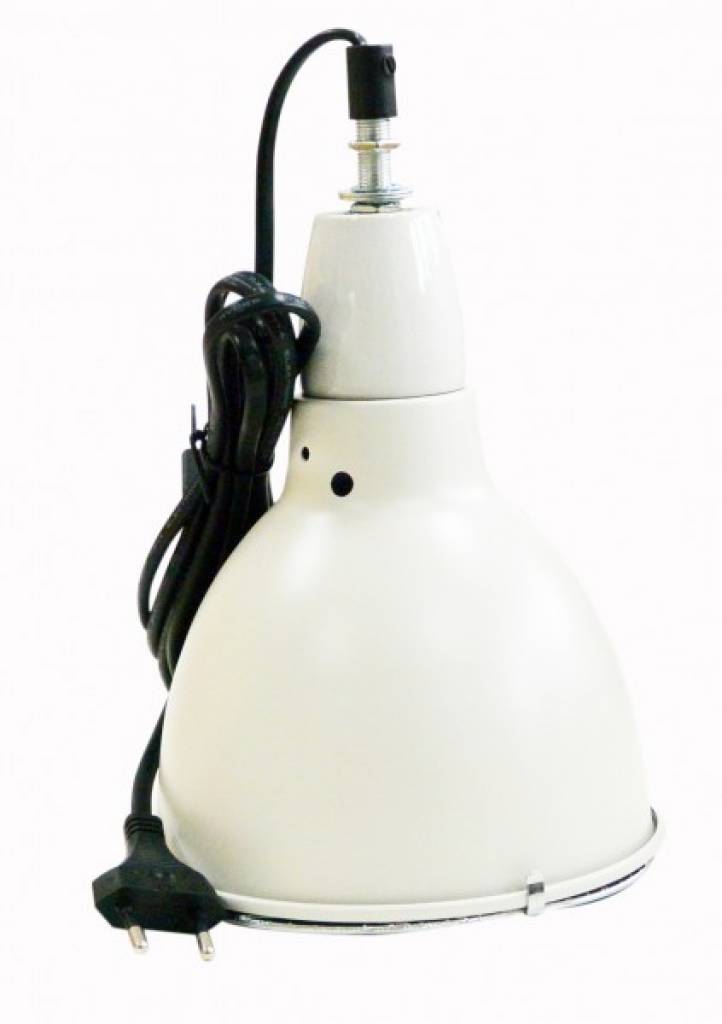 Lucky Reptile Thermo Socket plus Reflector