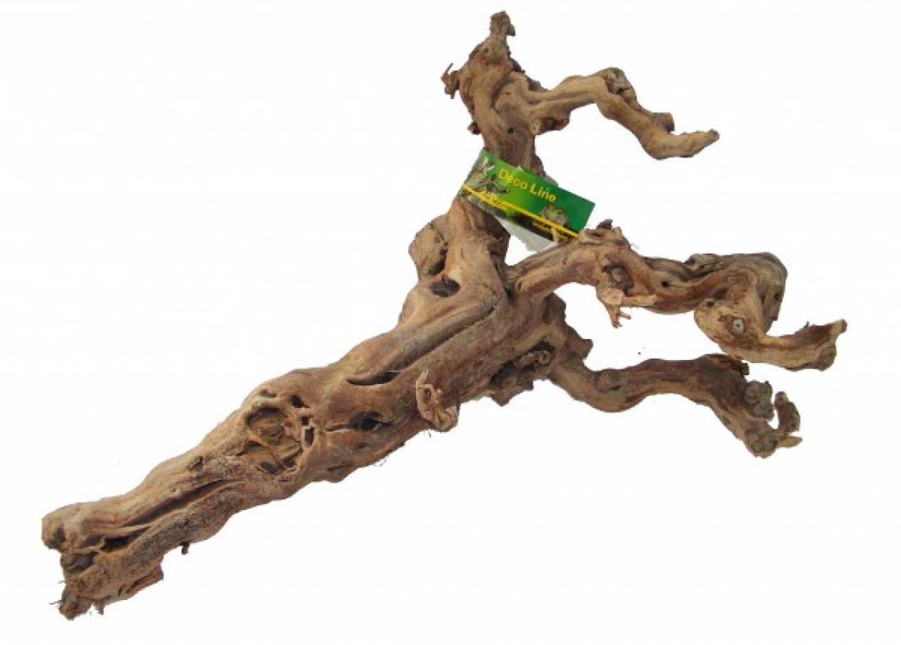 Lucky Reptile Premium Rebholz
